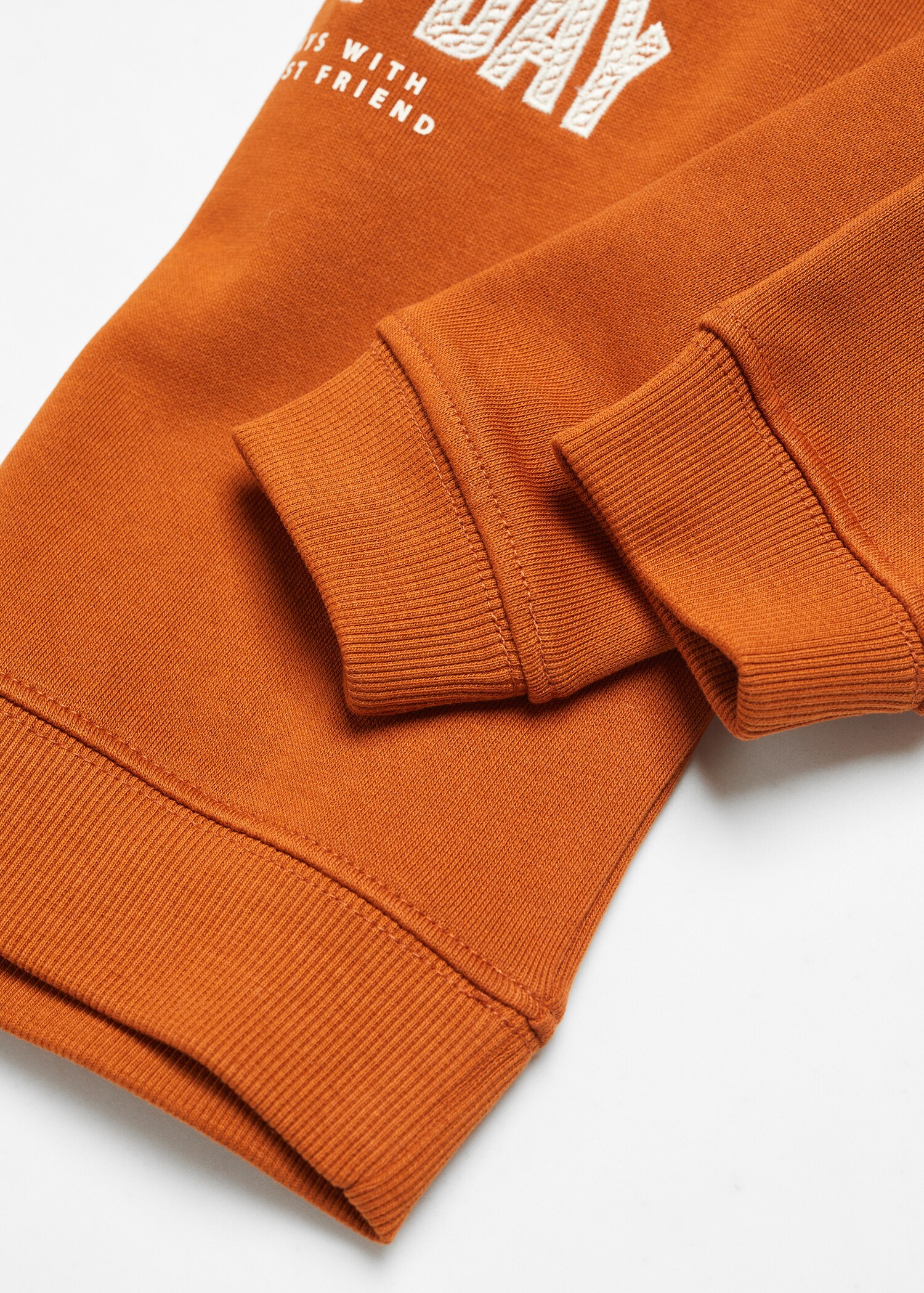 Sudadera capucha bordado - Detalle del artículo 0