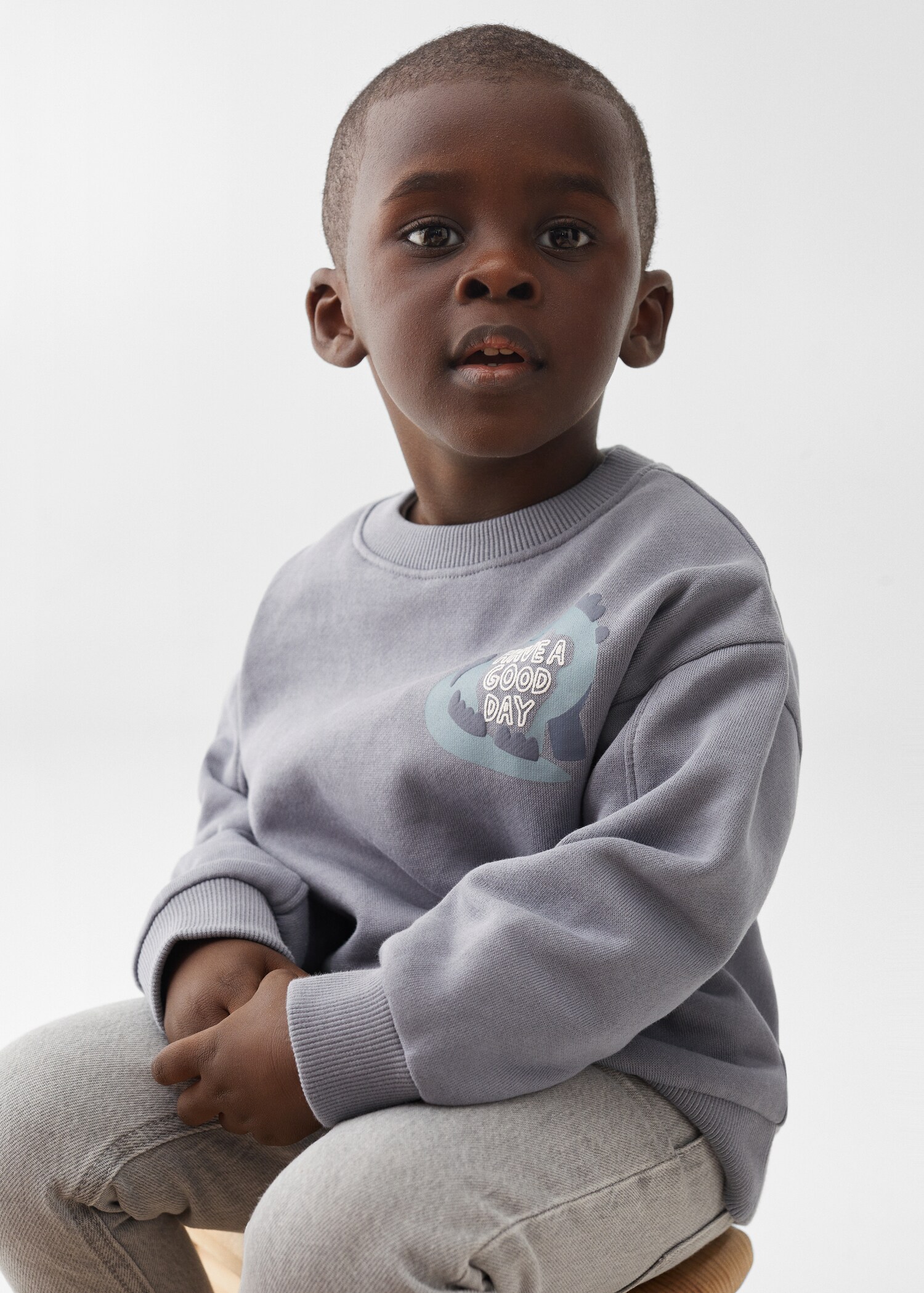 Animal printed sweatshirt - Medium plane