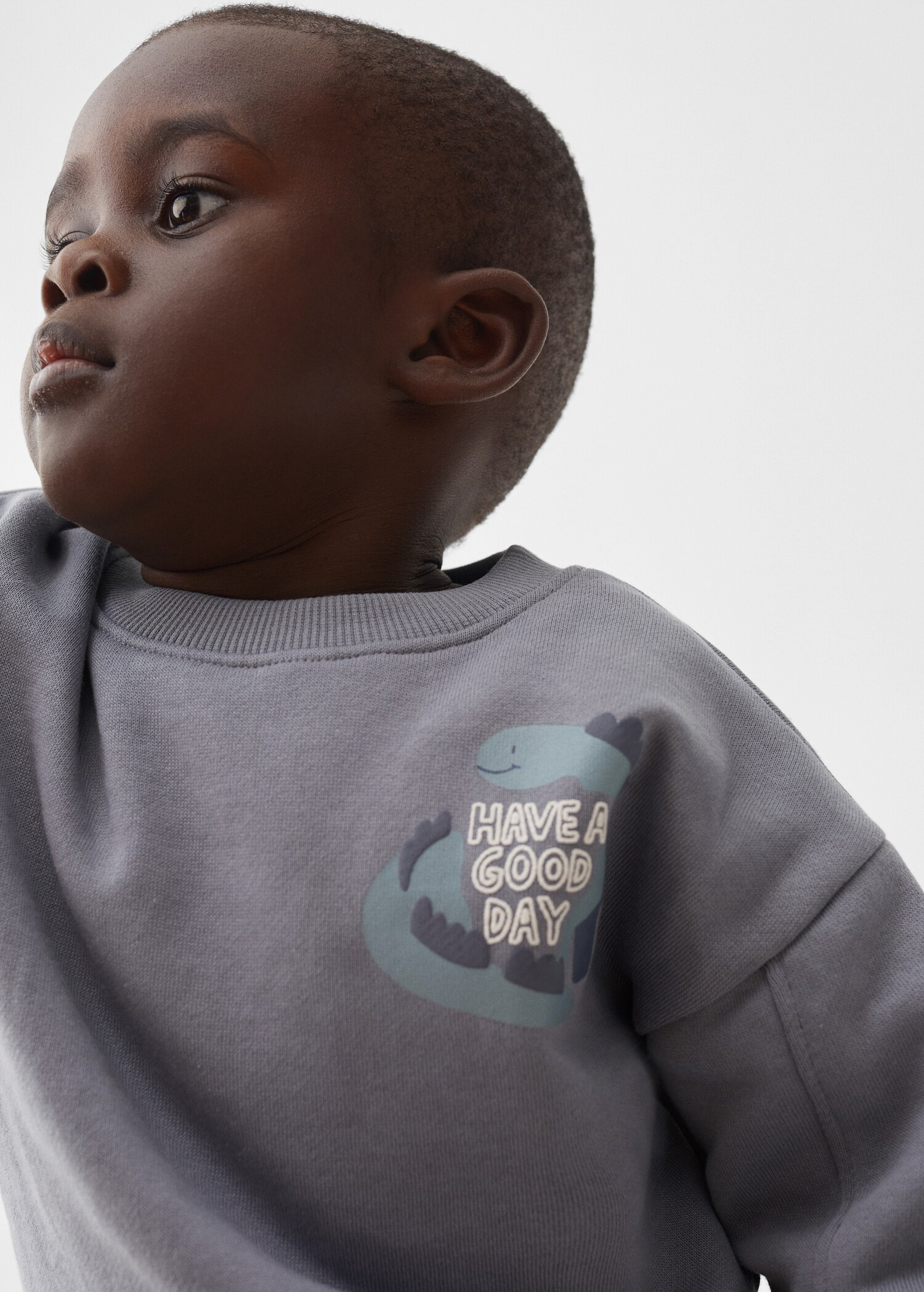 Animal printed sweatshirt - Details of the article 1