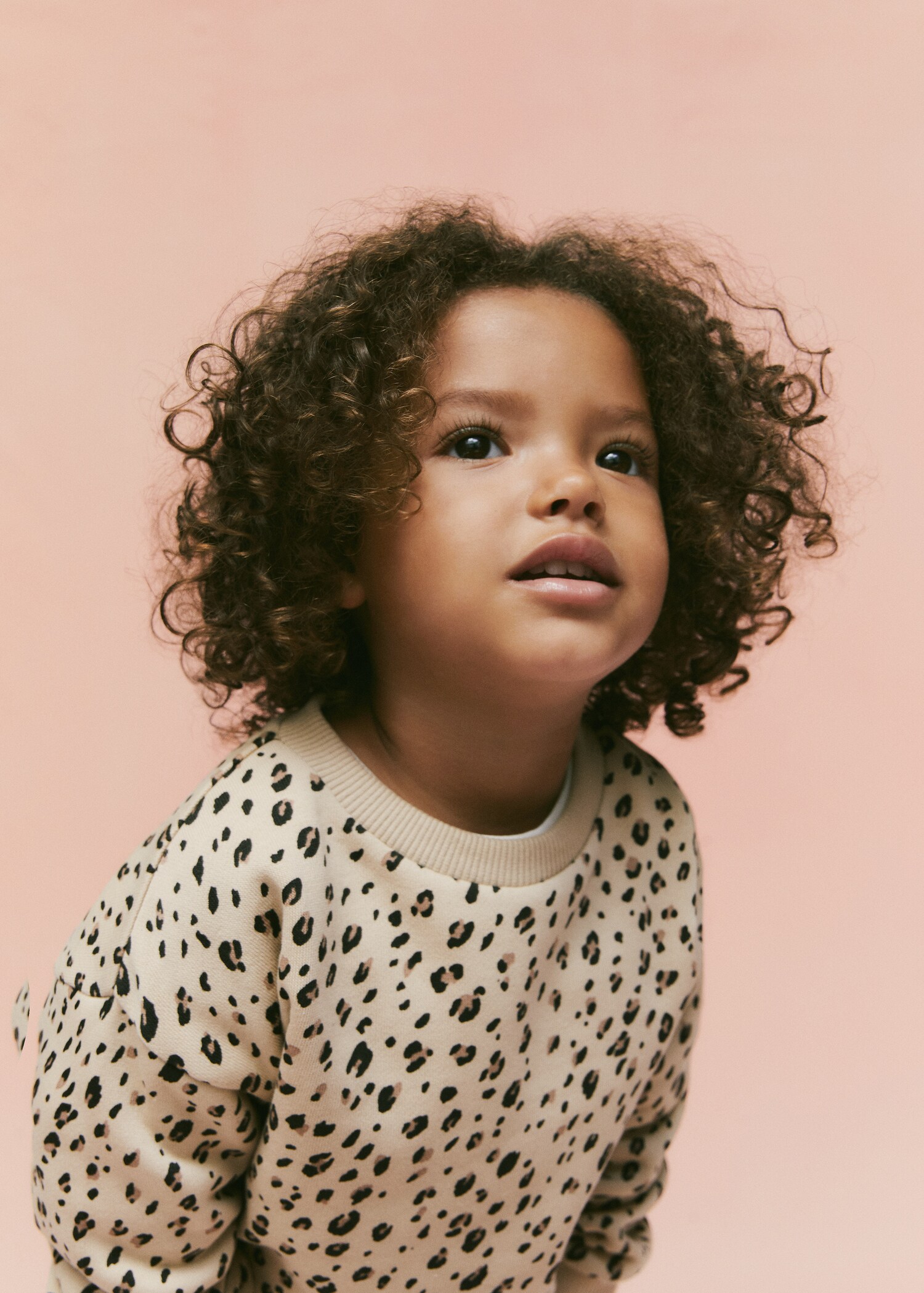 Leopard cotton sweatshirt - Details of the article 5