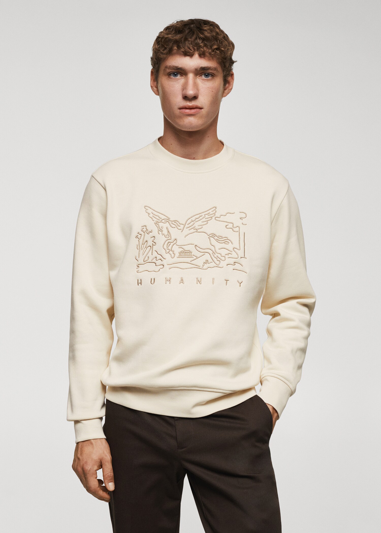 Sudadera algodón detalle bordado - Plano medio