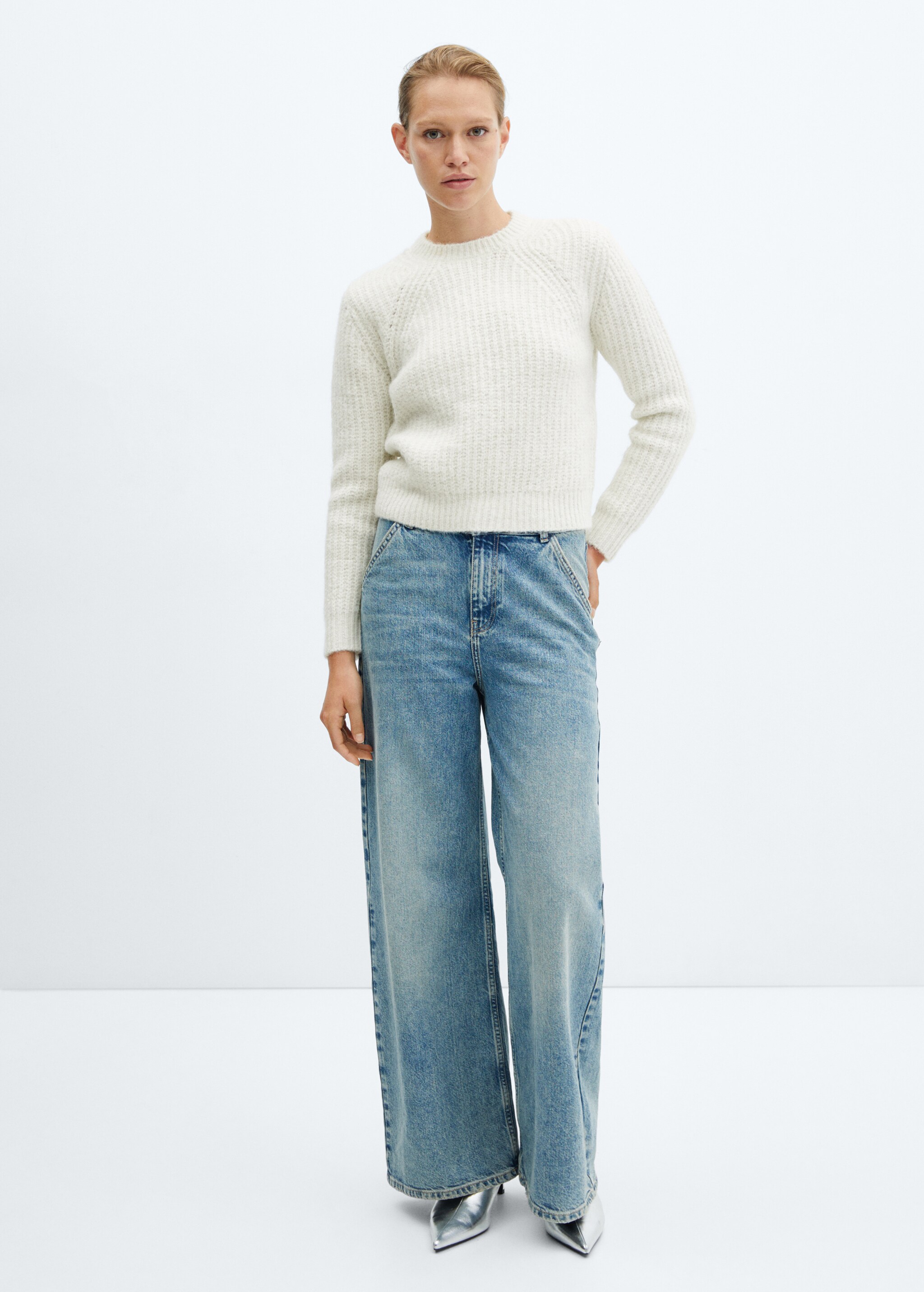 Round-neck knitted sweater  - General plane