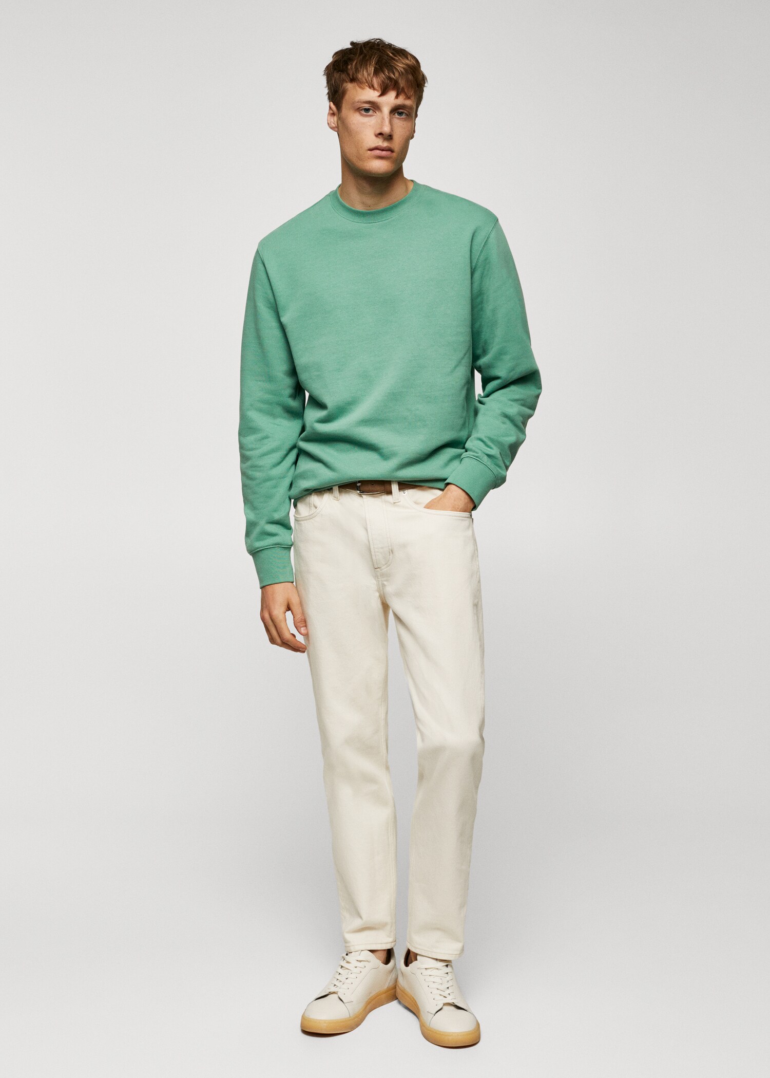 100% cotton basic sweatshirt  - General plane