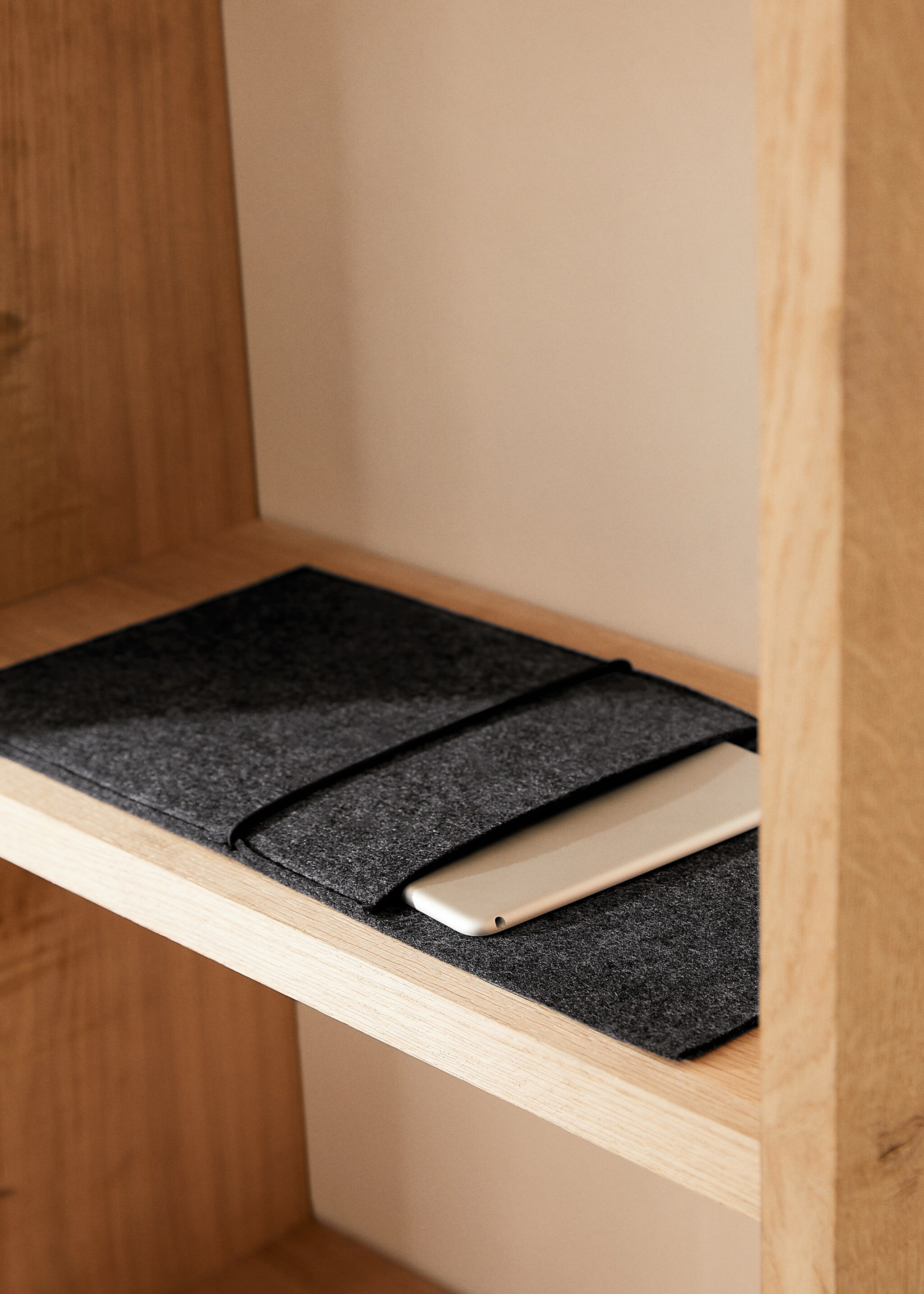 Felt tablet and document case - General plane