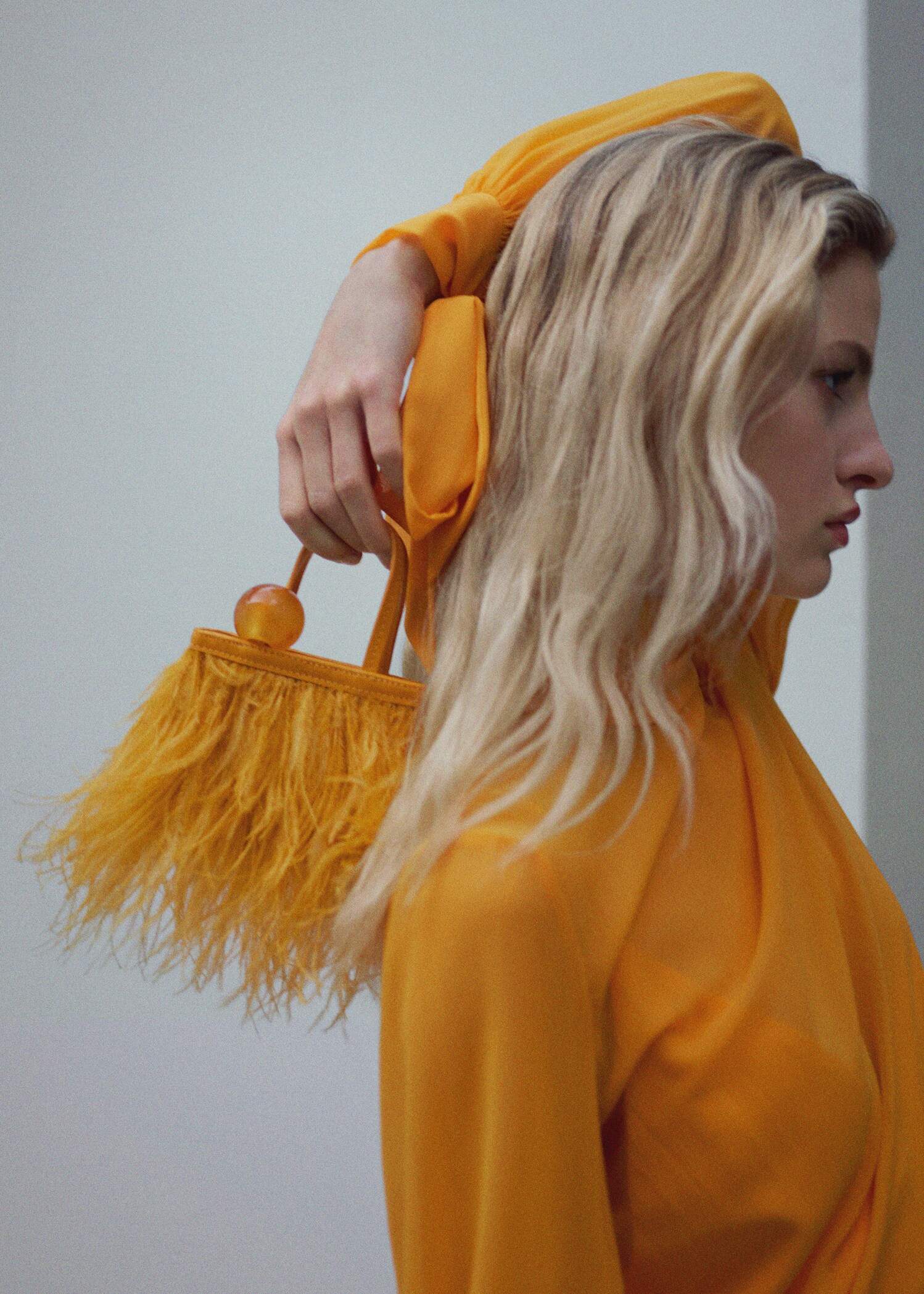 Sac cuir orné de plumes - Plan général