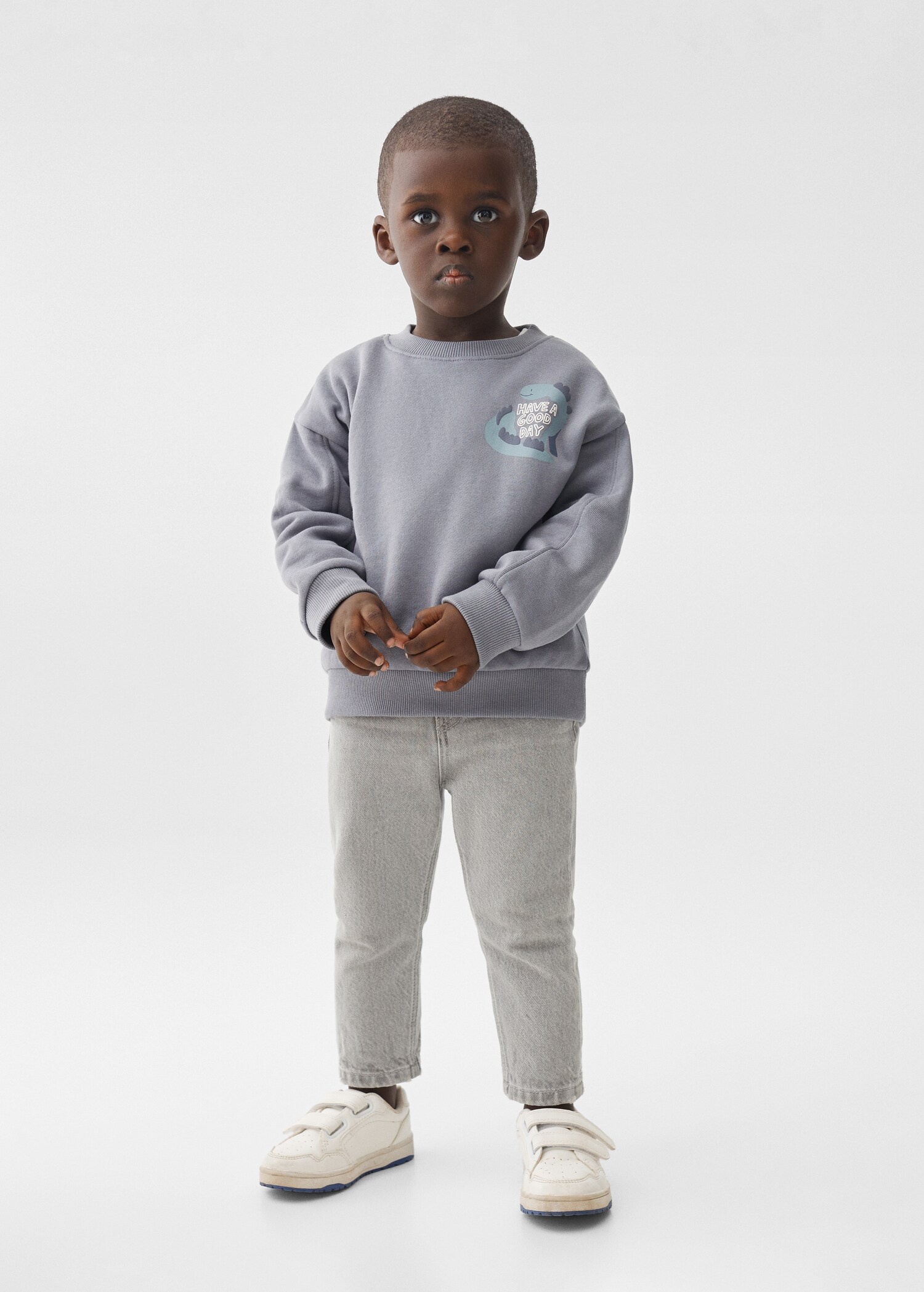 Animal printed sweatshirt - General plane