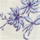 Colour Blue selected