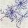 Colour Blue selected