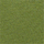 Kleur Groen