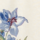 Colour Ecru selected