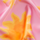 Colour Pink selected