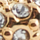 Colour Gold selected