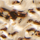 Colore Oro selezionato