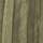 Kaki