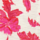 Color Rojo coral