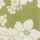 Couleur Vert