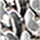 Colour Silver selected