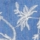Color Blue selected