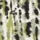 Color Ecru selected