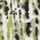 Colour Ecru selected