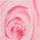 Color Pastel Pink selected