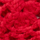Couleur Rouge sélectionnée