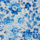 Colour Blue