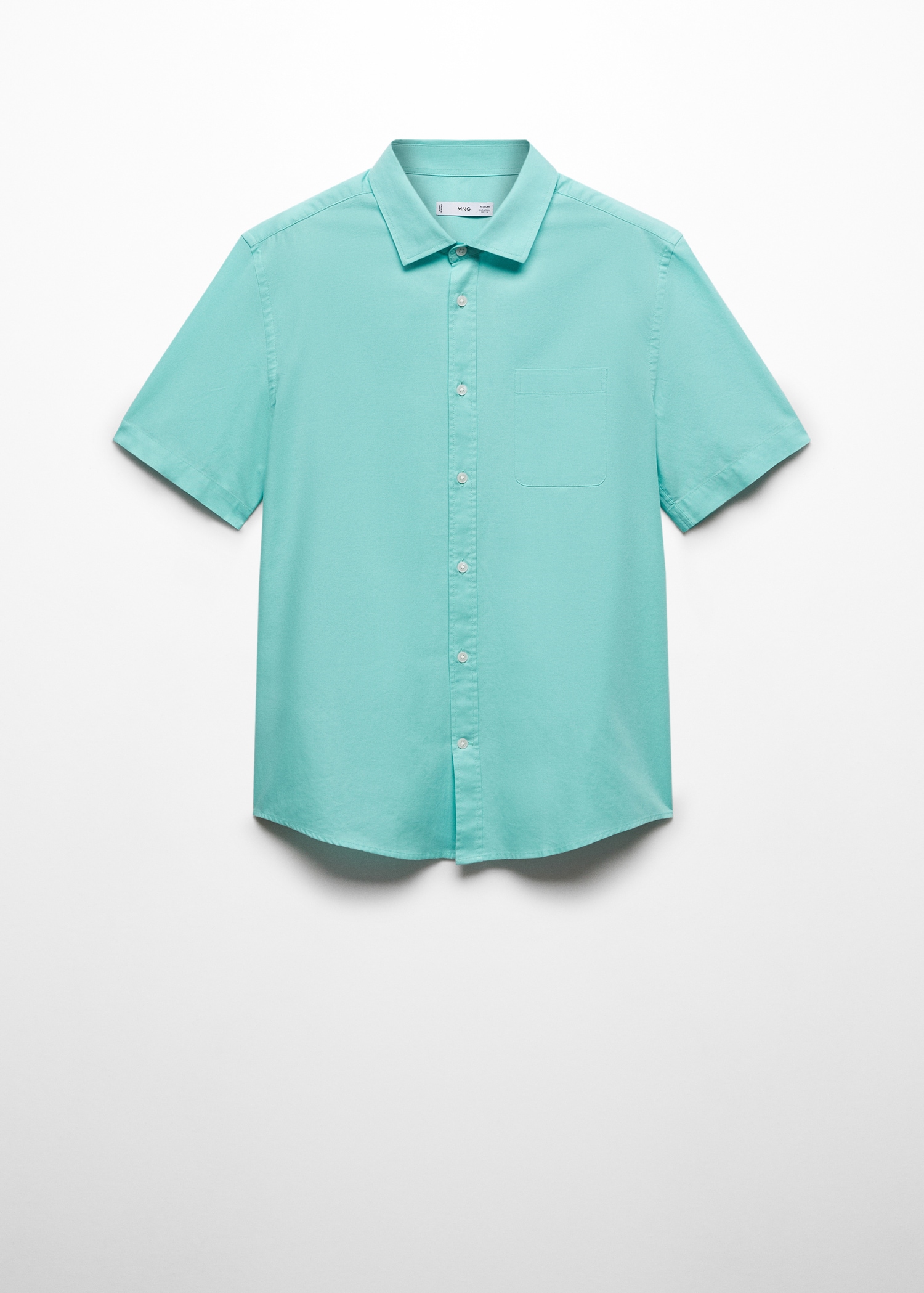 Regular fit Oxford cotton shirt - Article without model