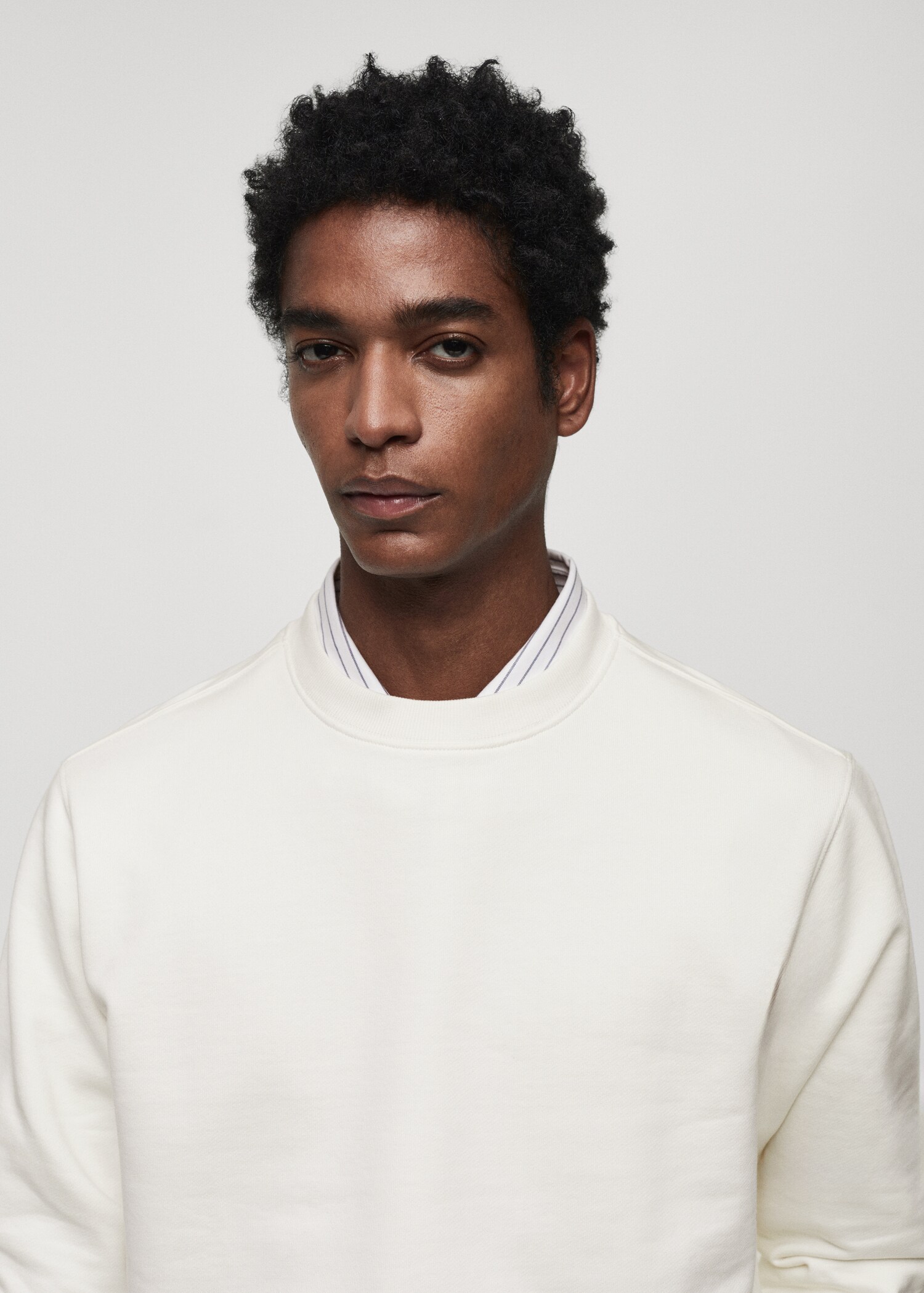 100% cotton basic sweatshirt  - Details of the article 1