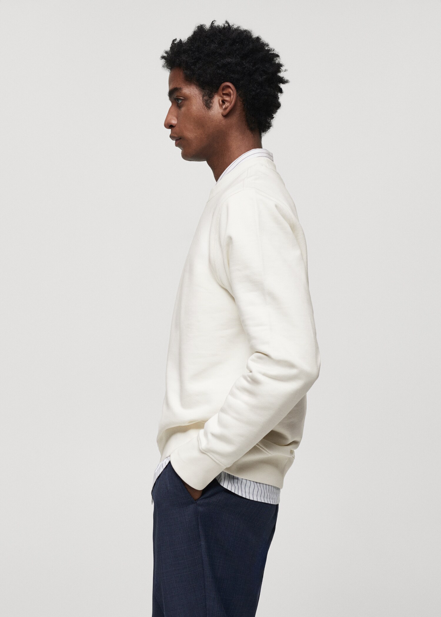 100% cotton basic sweatshirt  - Details of the article 2