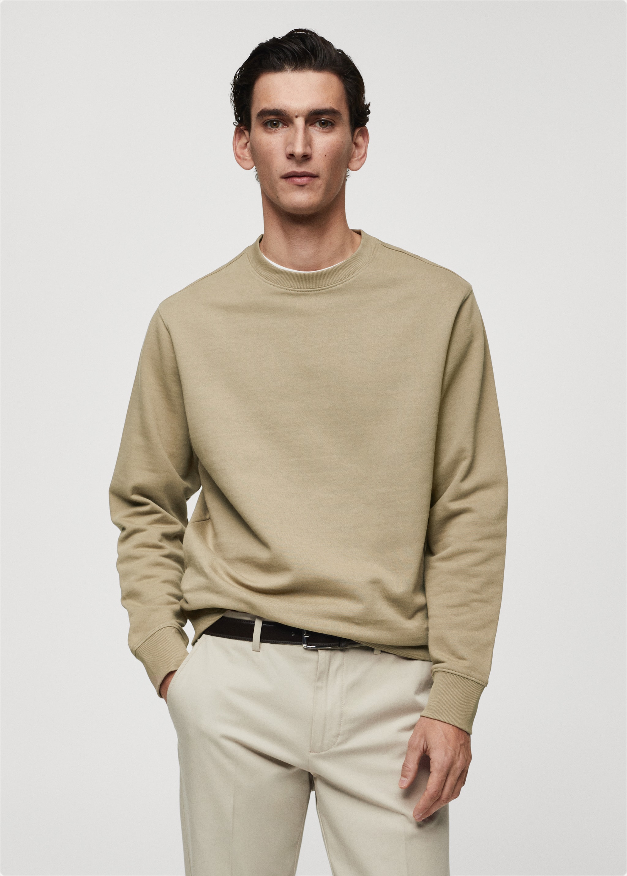 100% cotton basic sweatshirt  - Medium plane