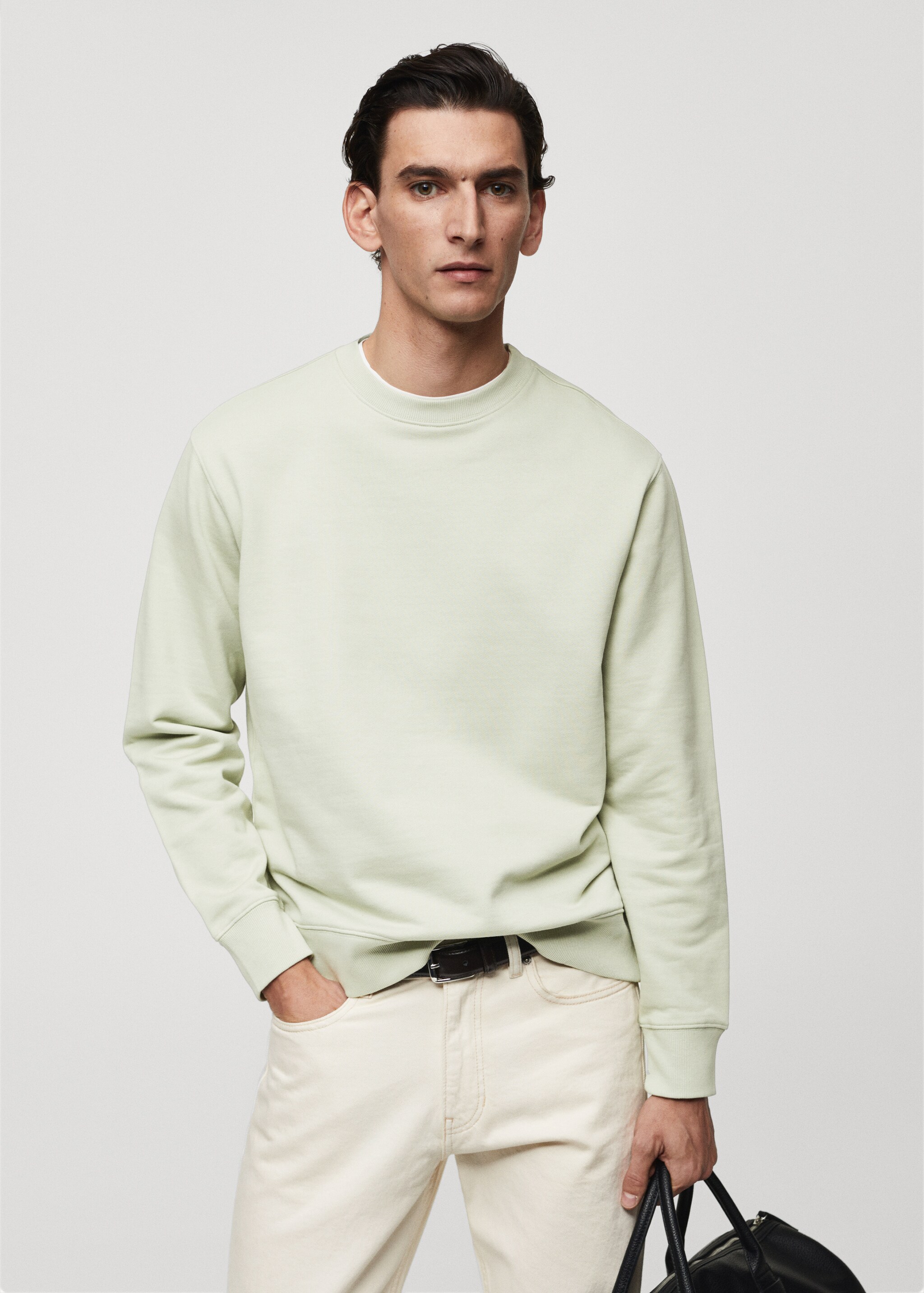 100% cotton basic sweatshirt  - Medium plane