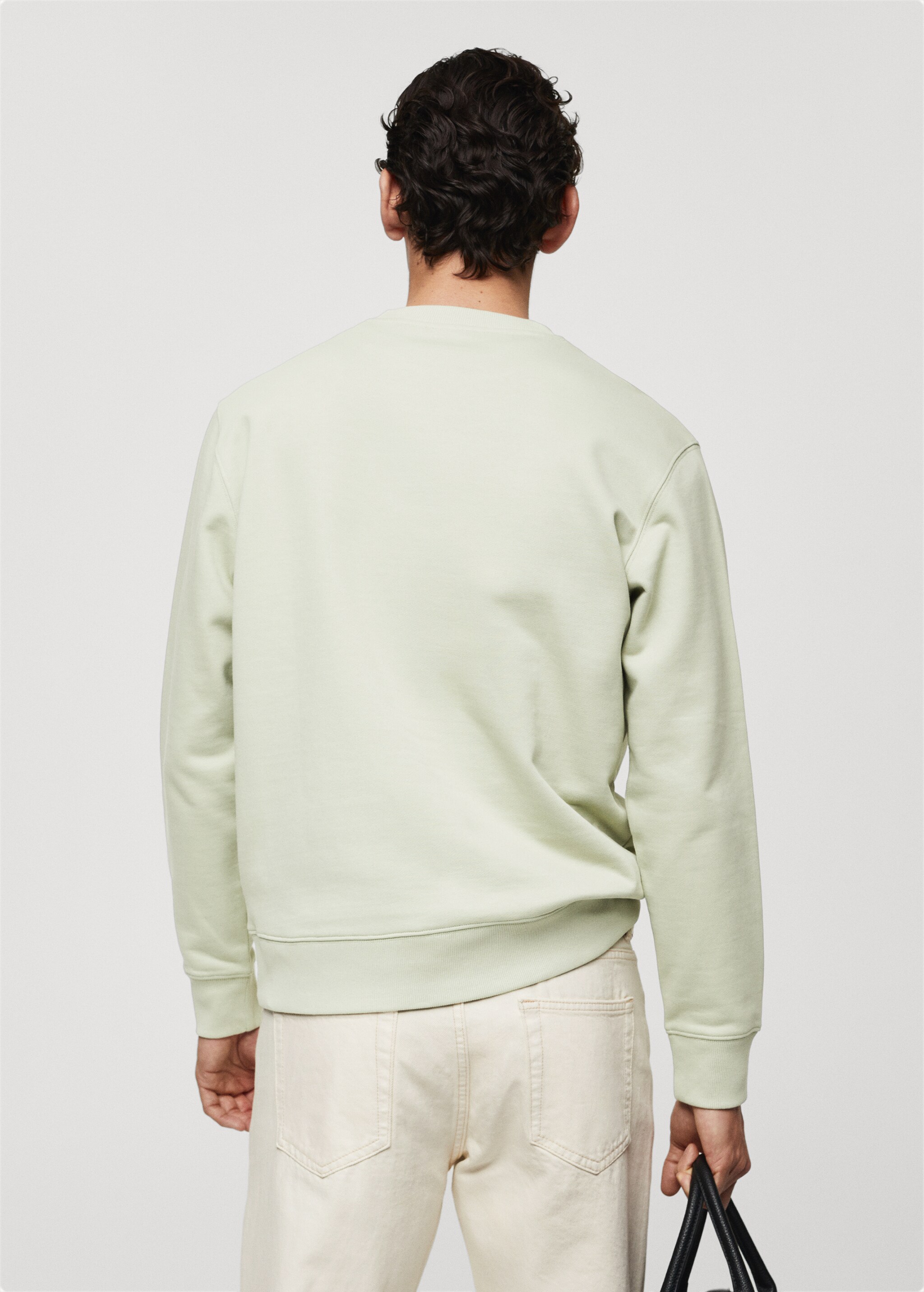 100% cotton basic sweatshirt  - Reverse of the article