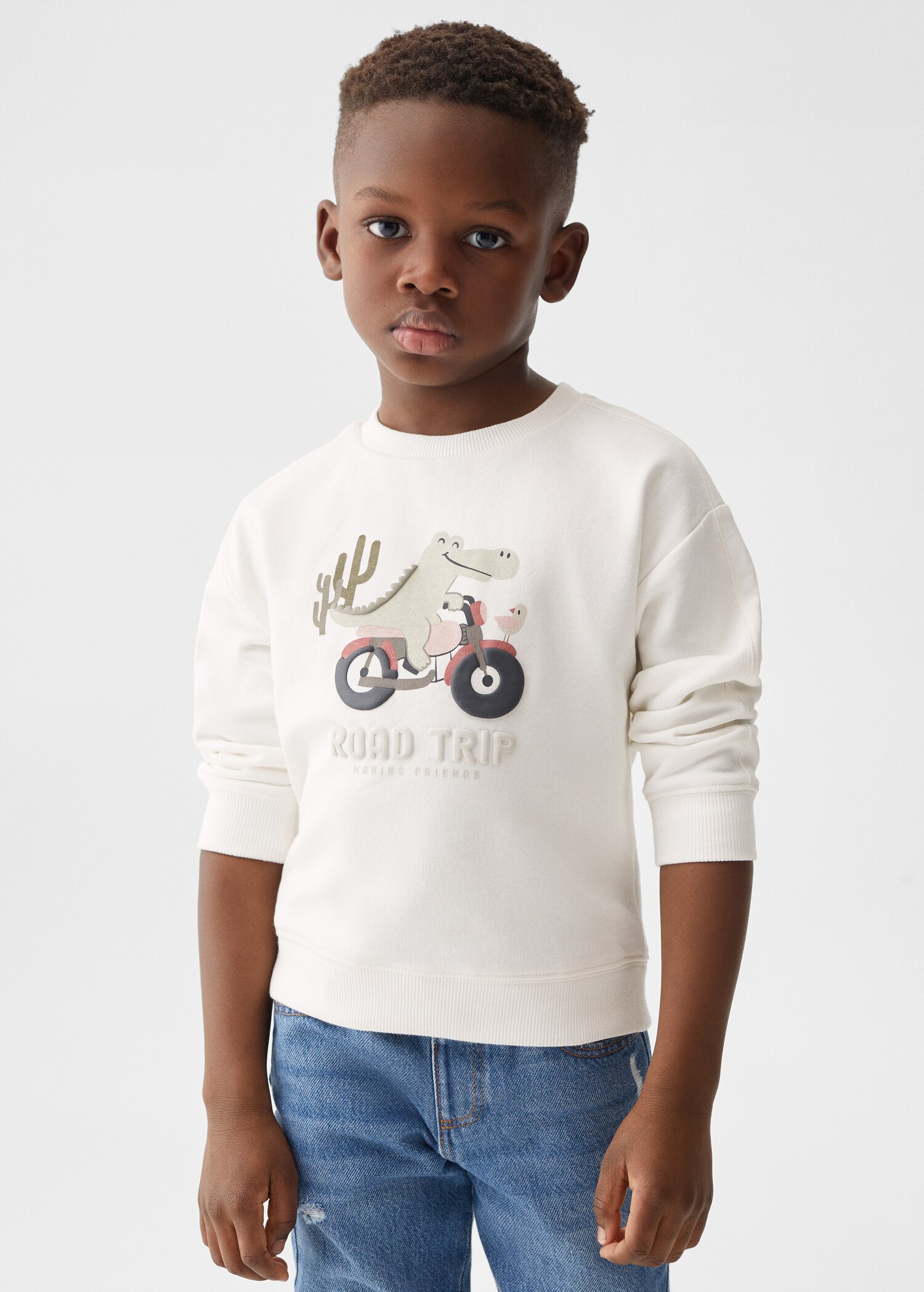 Printed cotton sweatshirt - Medium plane