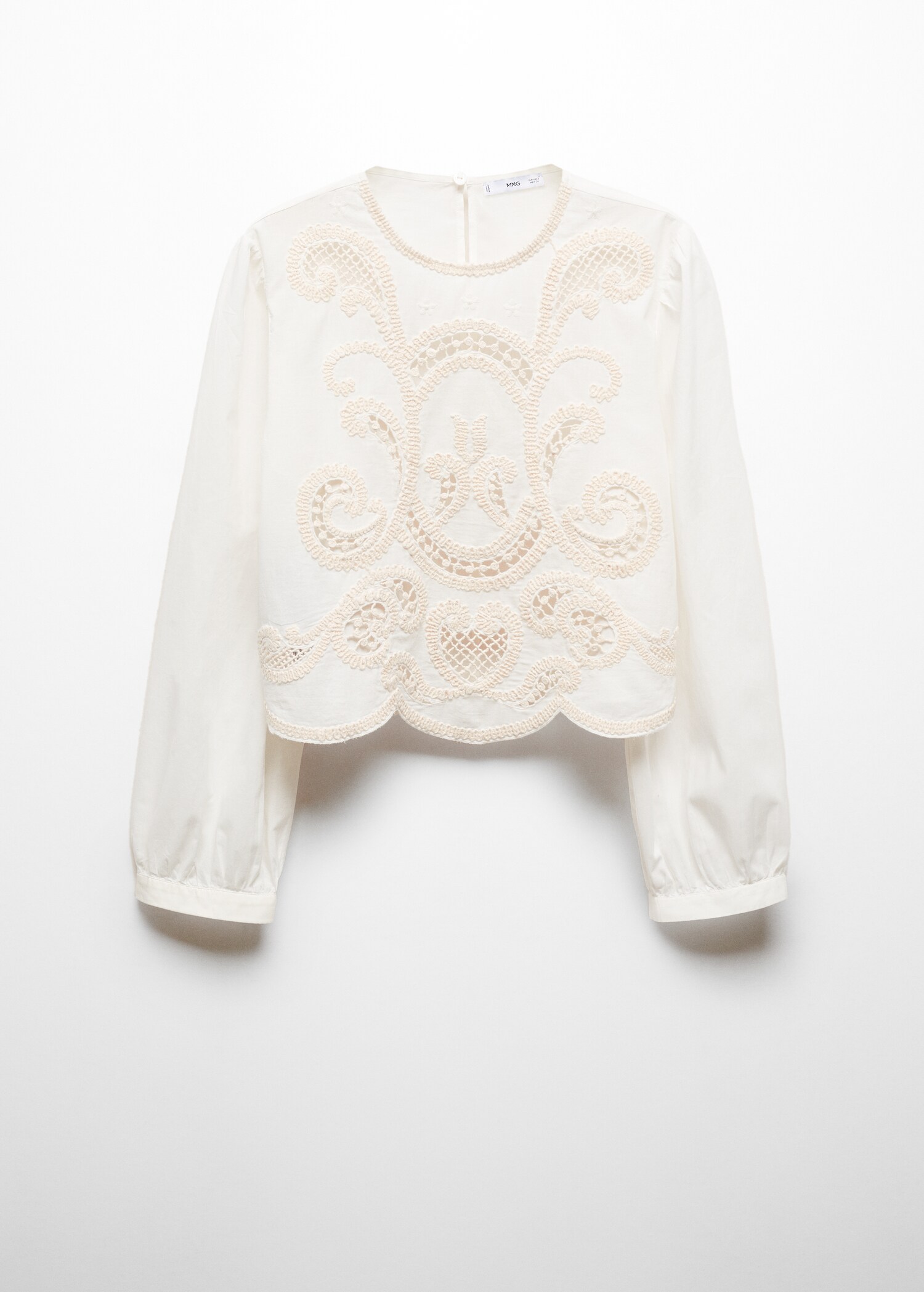 Embroidered puff-sleeve blouse - Article without model