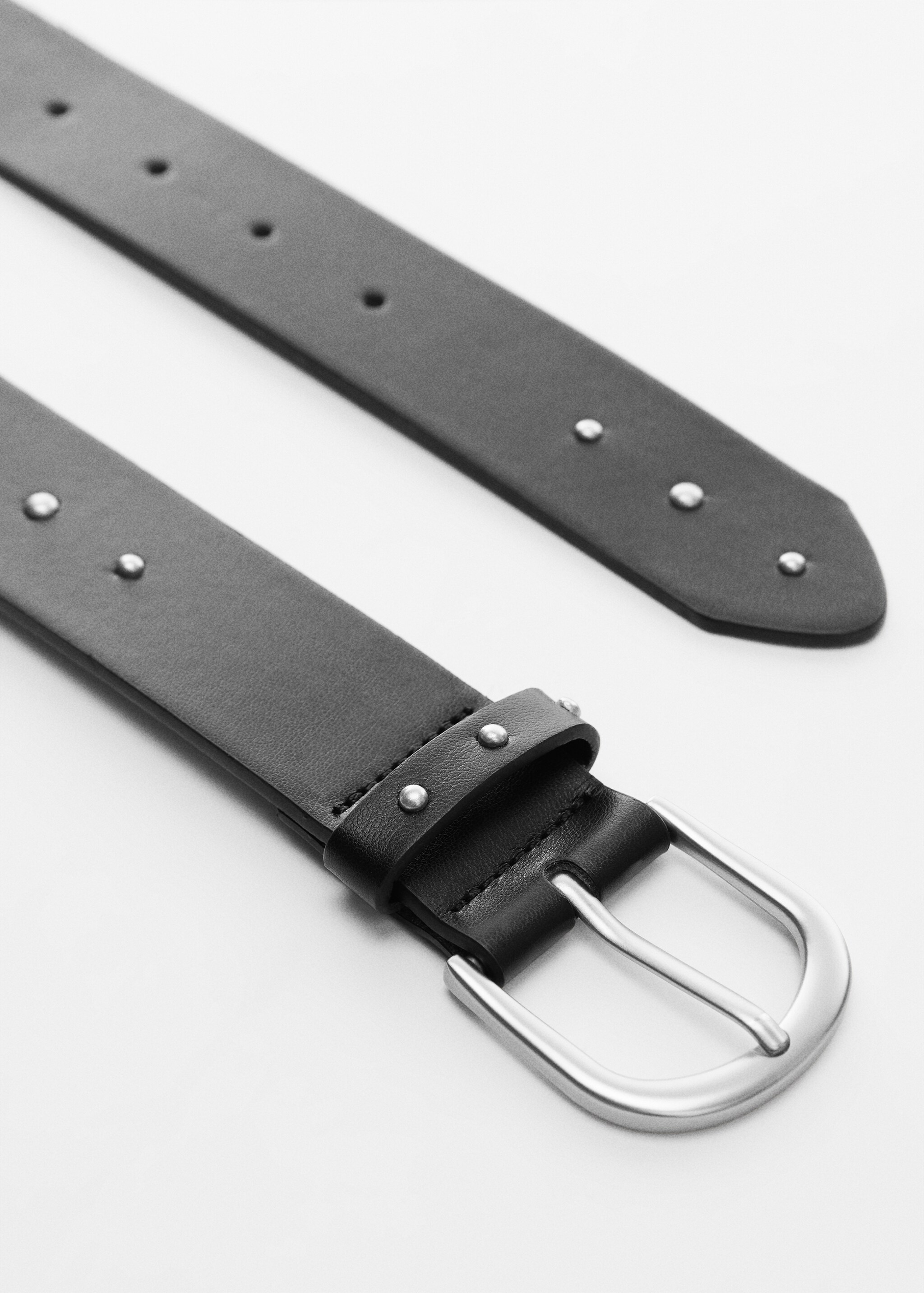 Metal buckle belt - Details of the article 1