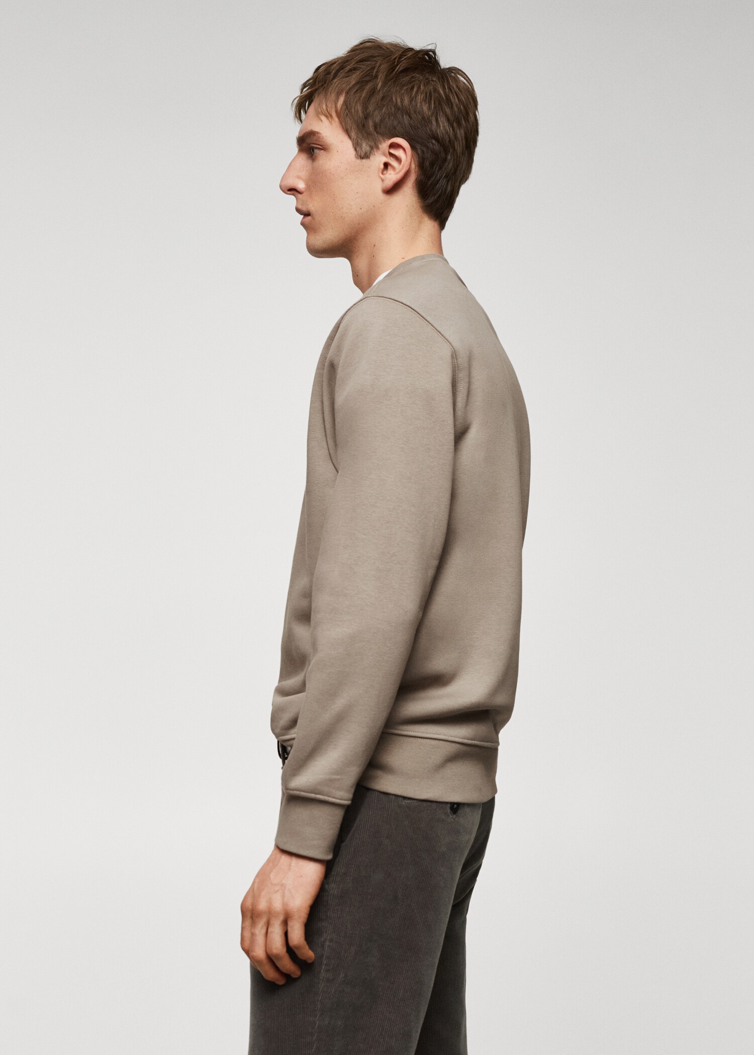 Lightweight cotton sweatshirt - Details of the article 2