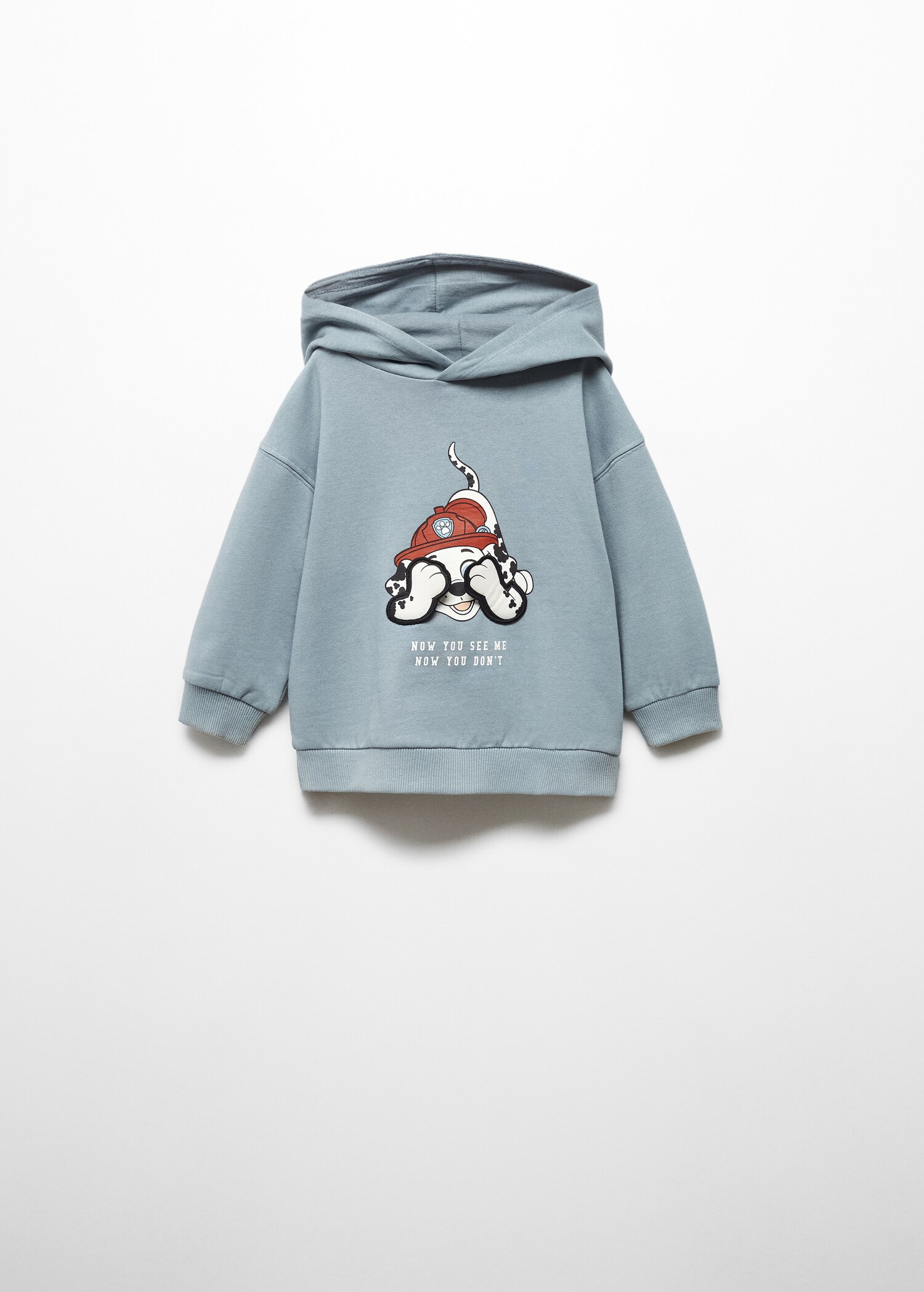 Sudadera Patrulla Canina - Artículo sin modelo