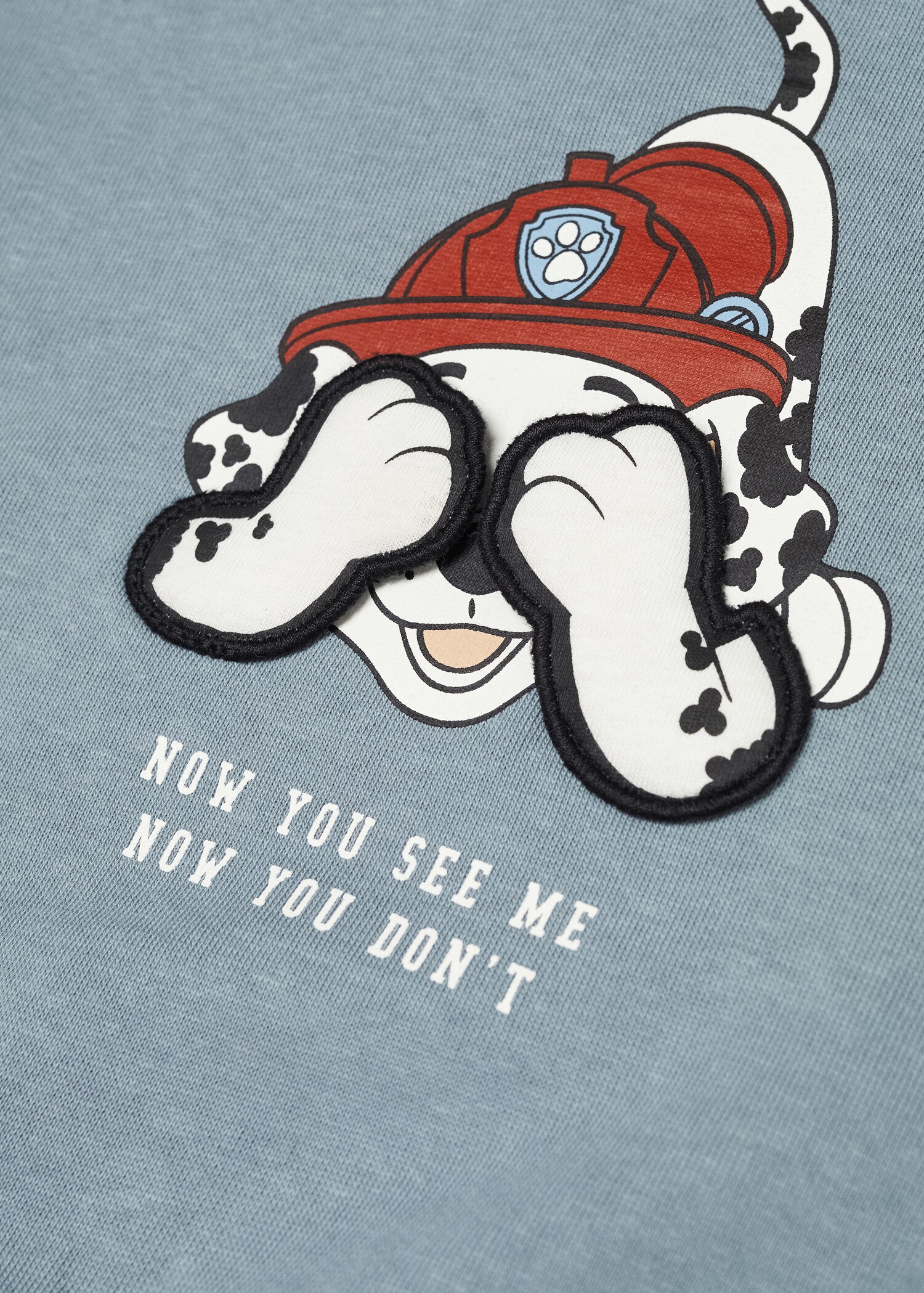 Sudadera Patrulla Canina - Detalle del artículo 0