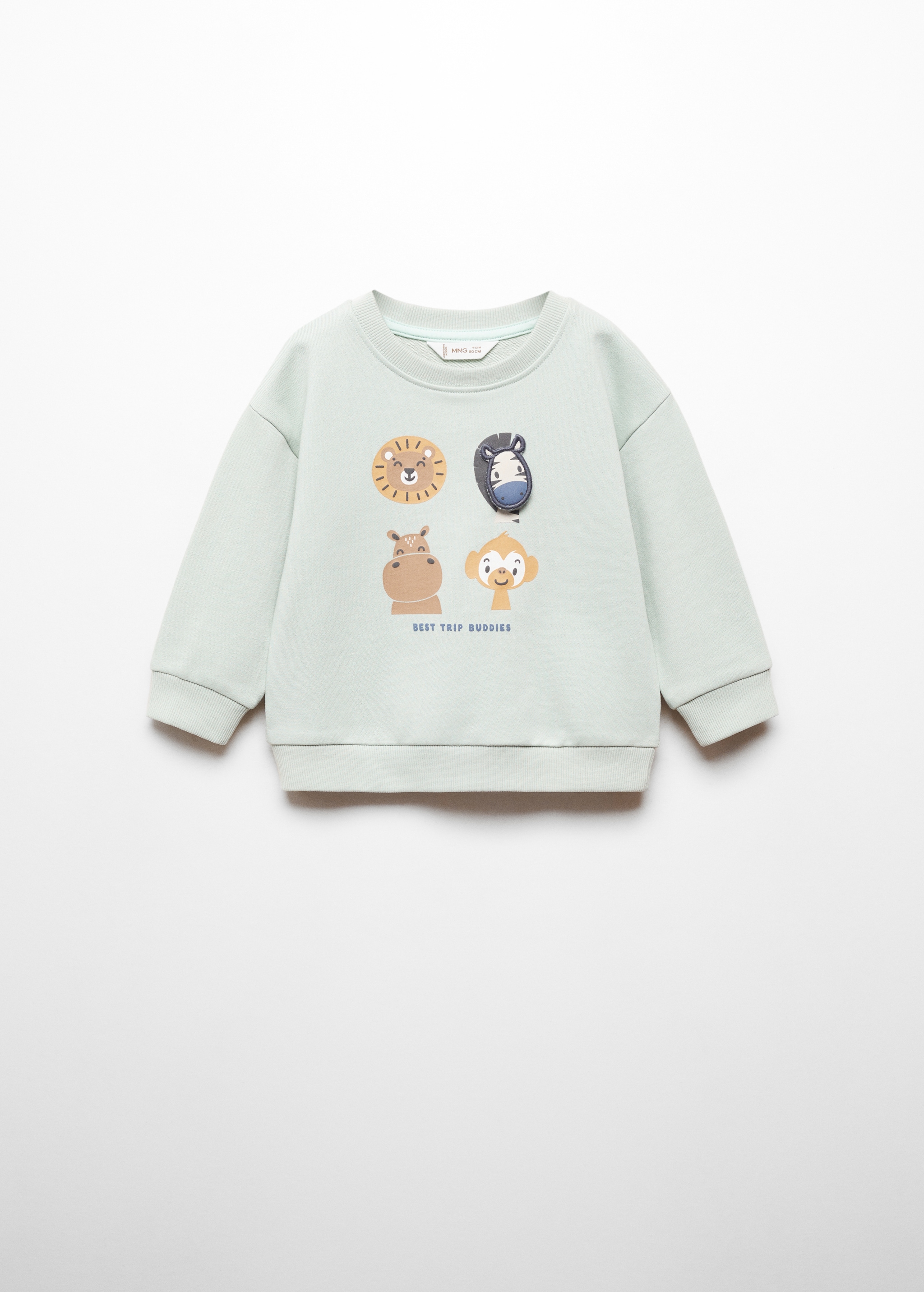 Printed picture sweatshirt - Article without model