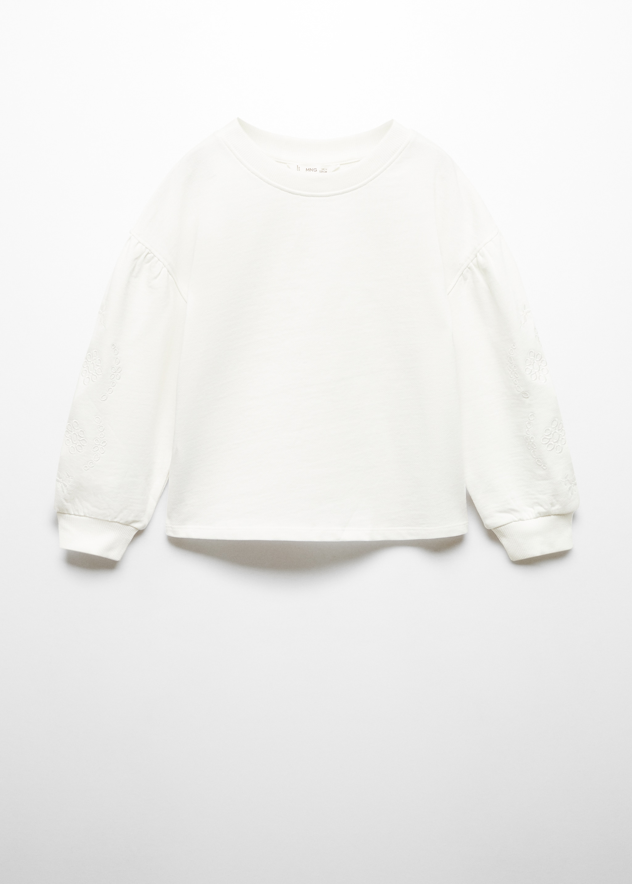 Embroidered sleeve sweatshirt - Article without model