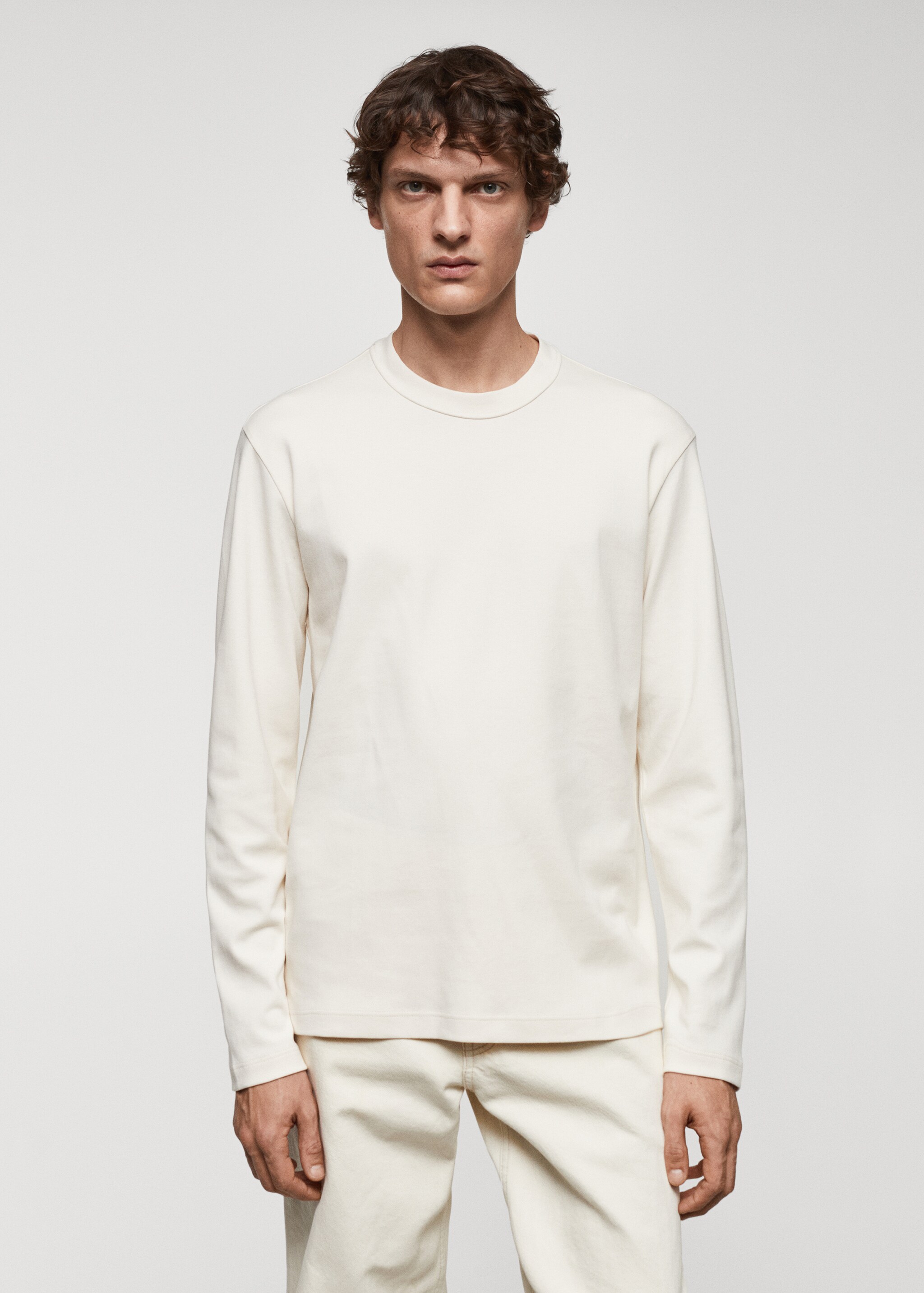 100% cotton long-sleeved t-shirt - Medium plane