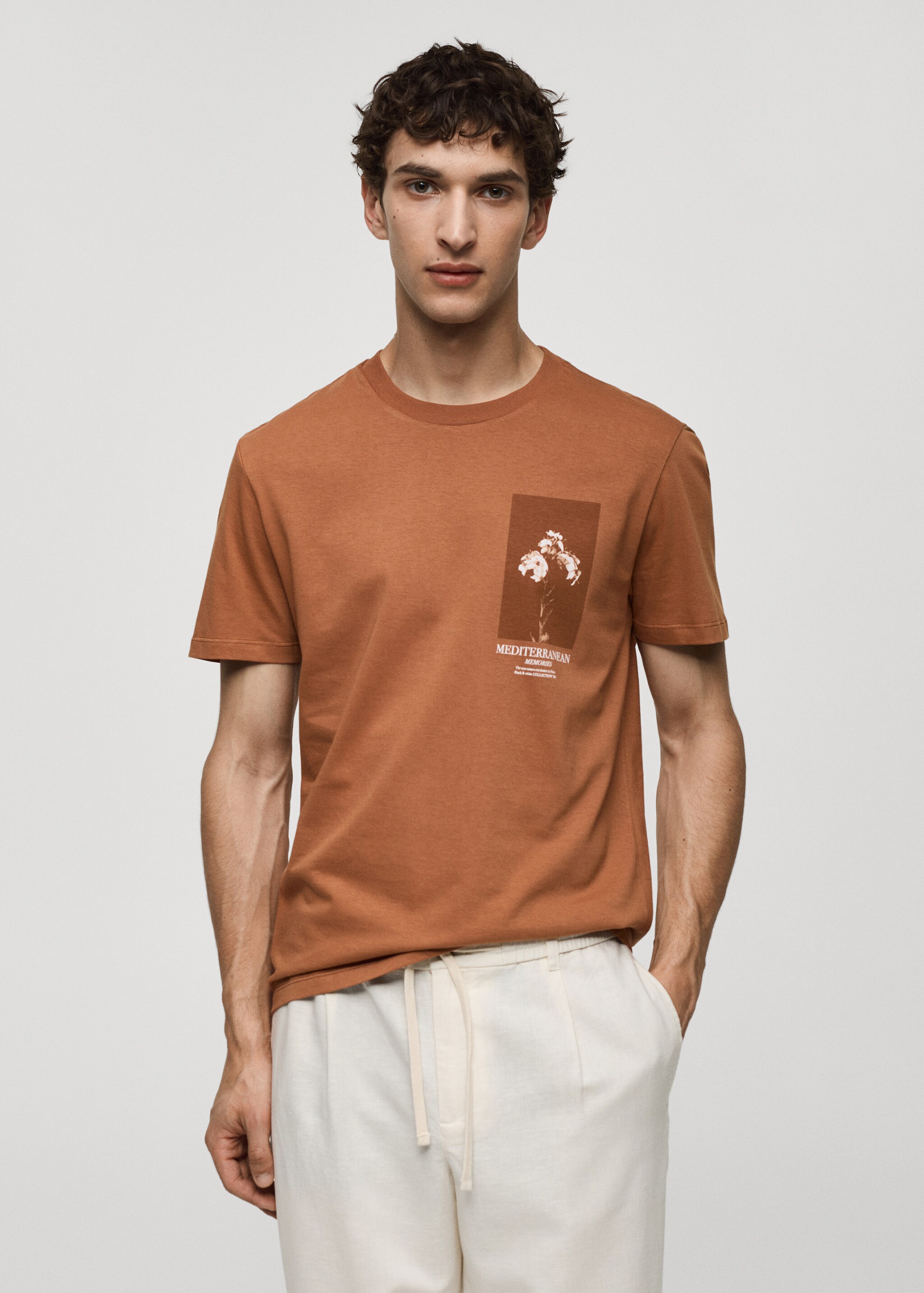 Slim fit 100% printed cotton t-shirt - Medium plane
