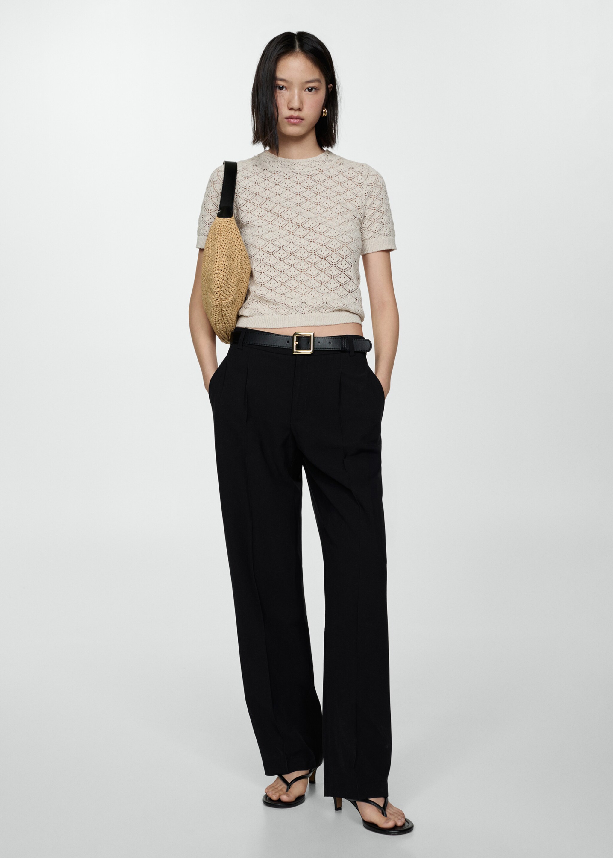 Pleated straight trousers - General plane