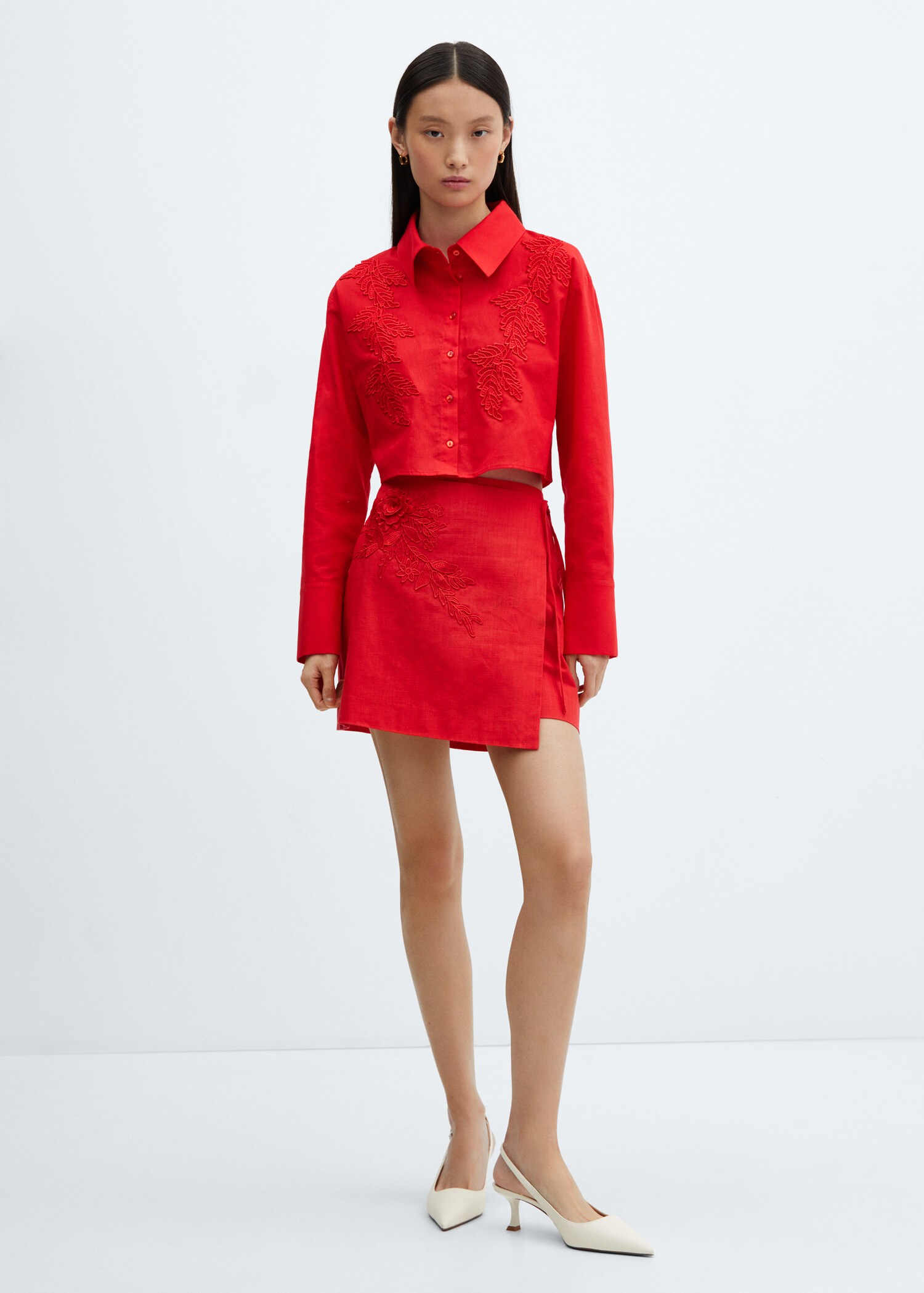 Embroidered cotton skirt - General plane