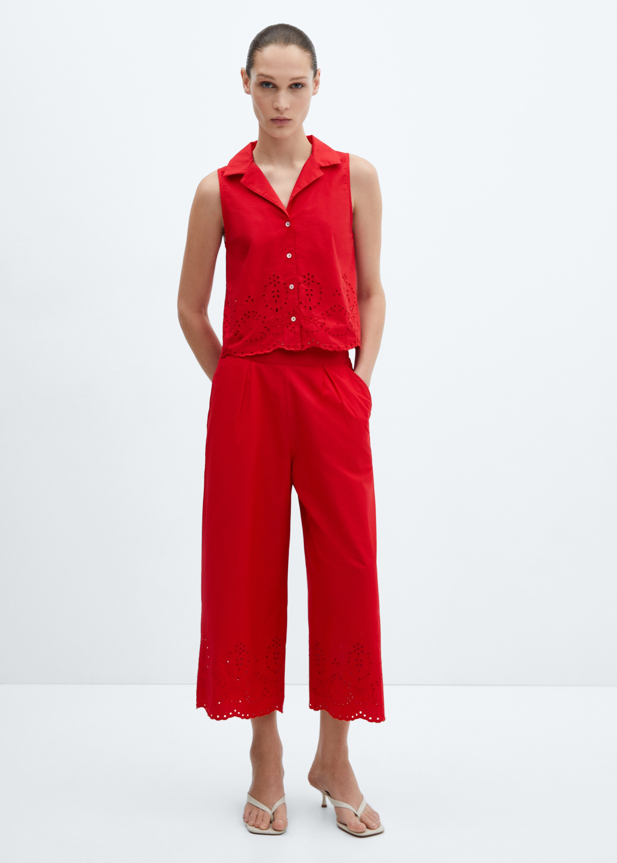 Embroidered culotte pants - General plane