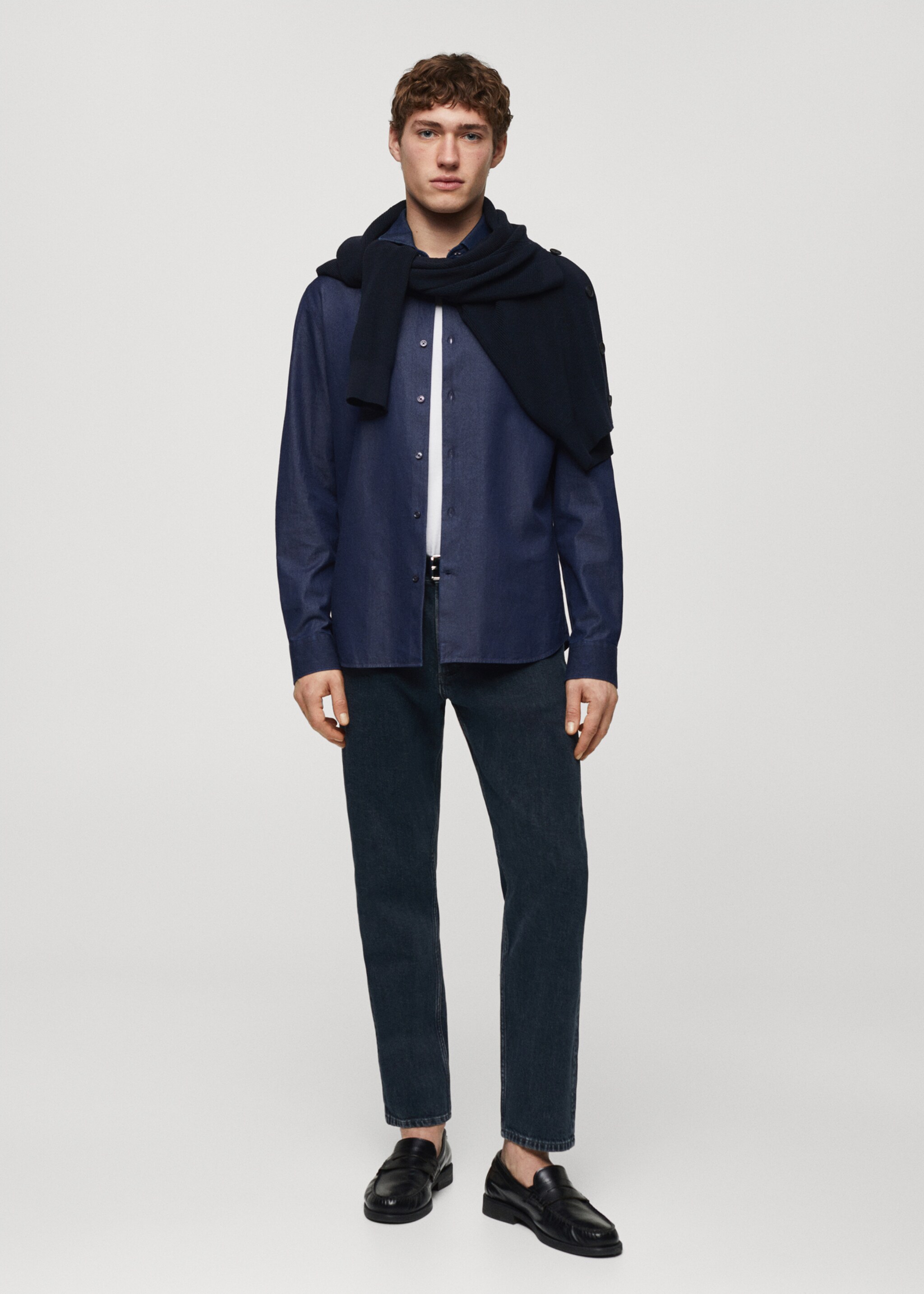 Regular-fit cotton chambray shirt - General plane
