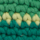 Couleur Vert sélectionnée