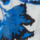 Couleur Bleu sélectionnée
