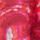 Colour Fuchsia selected